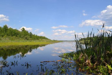 Shatsky Gölleri 'nin güzel manzarası, Kuzey Ukrayna