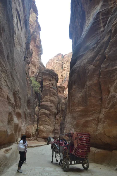 Vista Antigua Ciudad Petra Jordania — Foto de Stock