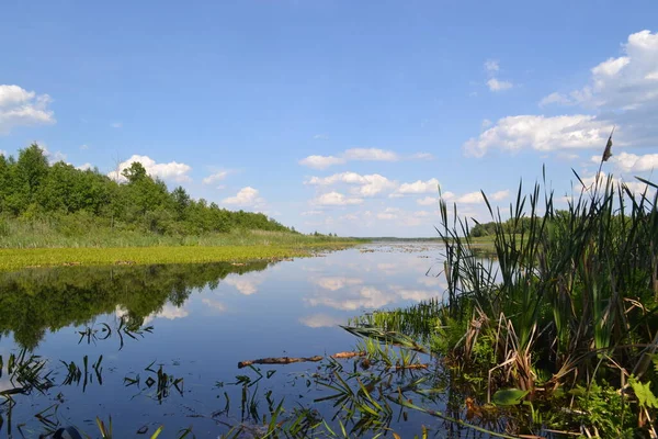 Shatsky Gölleri 'nin güzel manzarası, Kuzey Ukrayna