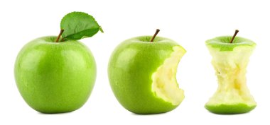 Green apple row clipart
