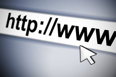world wide web