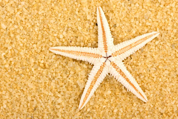 Estrella de mar — Foto de Stock