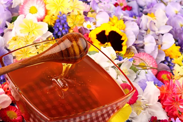 Søt honning i blomster – stockfoto