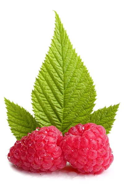 Raspberrys — Stockfoto