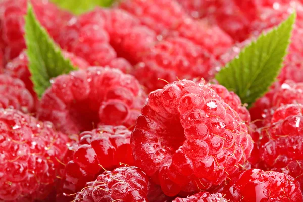 Raspberrys — Stockfoto