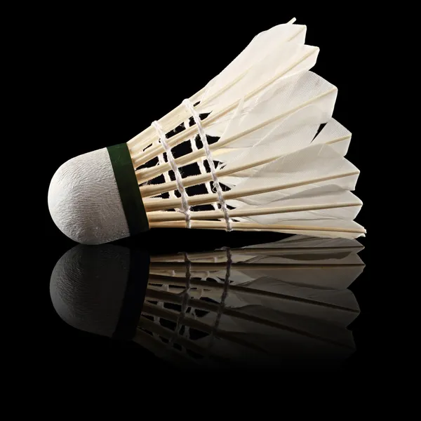 Badminton černá — Stock fotografie