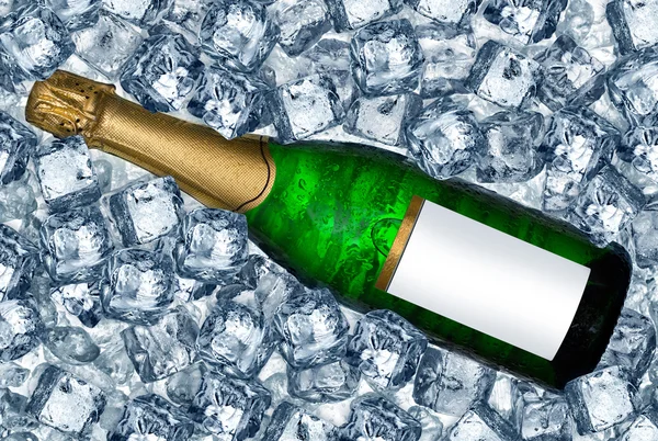 Champagne — Stock Photo, Image