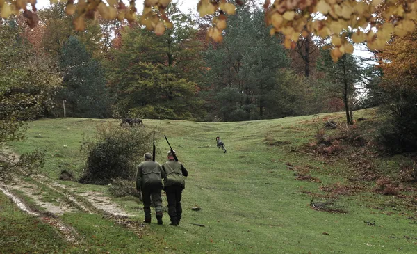 Hunting scene — Stock Photo, Image