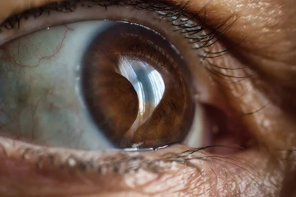 Extreme Makro Nahaufnahme Eines Menschlichen Auges Mit Einer Hellbraunen Glänzenden — Stockfoto