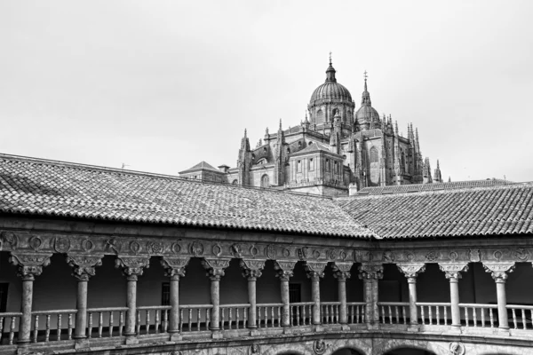 Salamanca Cathedral — Stock Photo, Image