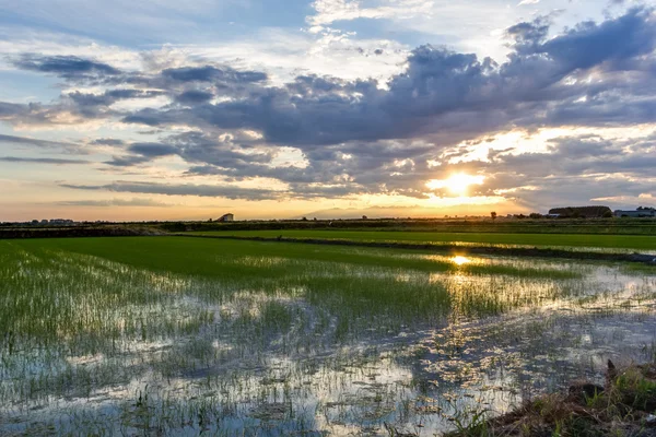 alanlar üzerinden gün batımı