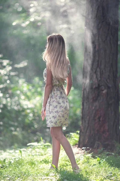 Blondes Mädchen Einem Leichten Luftigen Kleid Barfuß Morgengrauen Einem Sommerwald — Stockfoto