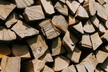 Bahçede yakacak odun yığını