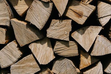 Bahçede yakacak odun yığını