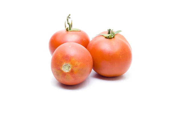 Tomates rouges fraîches pour la cuisson — Photo