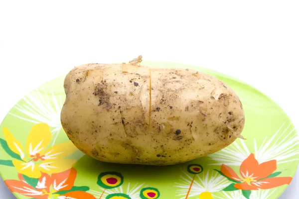 Big Potato on Plate for Cooking — Stock Photo, Image