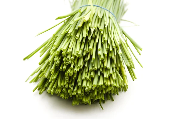 Chives verdes frescas —  Fotos de Stock