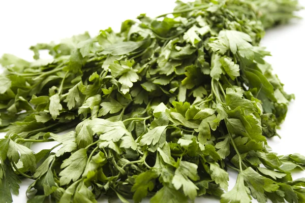 Salsa verde fresca sobre fundo branco — Fotografia de Stock