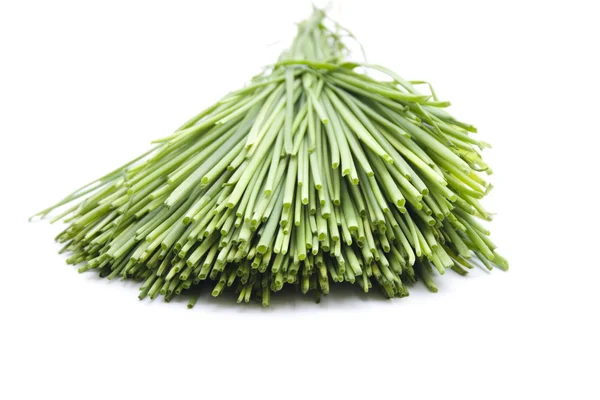 Свіжий зелений зелений лук — стокове фото