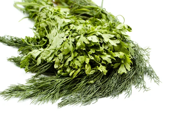Perejil verde fresco con eneldo verde del jardín —  Fotos de Stock