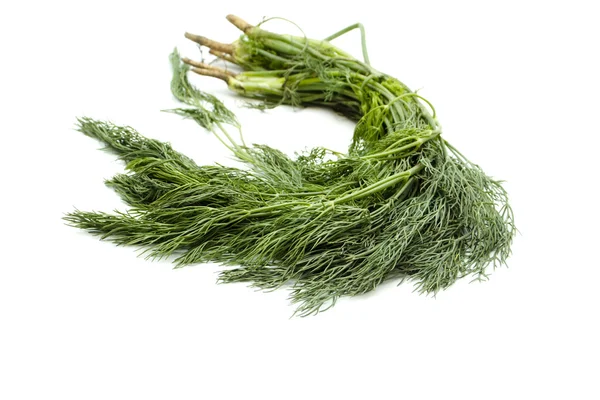 Frischer grüner Dill im Garten — Stockfoto