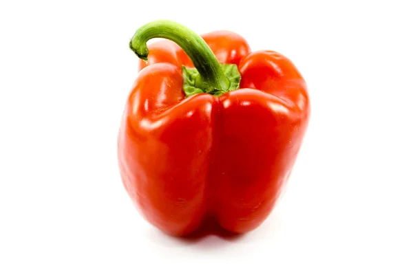 白色背景上的新鲜红辣椒 — 图库照片