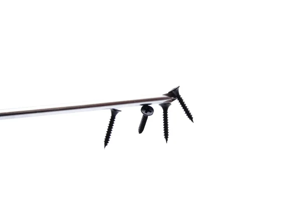 mıknatıs tornavida ile siyah vidalar