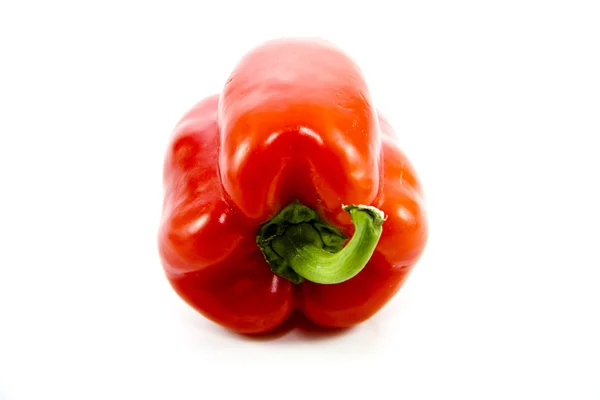 Capsicum vermelho fresco — Fotografia de Stock