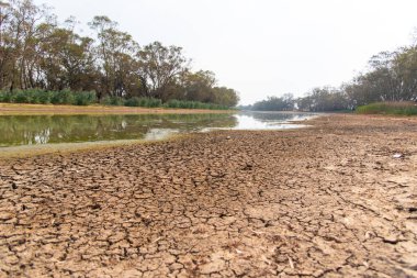 Avustralya 'nın New South Wales bölgesindeki Nyngan kasabasında yaz mevsiminde Bogan Nehri' nin kuraklık nehri.