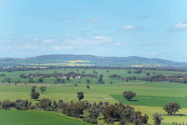 風光明媚な農村地域ポイントビューで地域オーストラリアのワラワラは ニューサウスウェールズ州南部のリバリーナ地域の町です — ストック写真