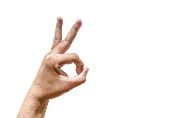 Κουνέλι Χειρονομία Στο Αριστερό Χέρι Απομονώνονται Λευκό Φόντο — Φωτογραφία Αρχείου