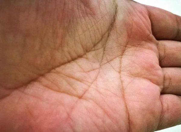 Handflächenmuster Der Linken Hand Großaufnahme — Stockfoto