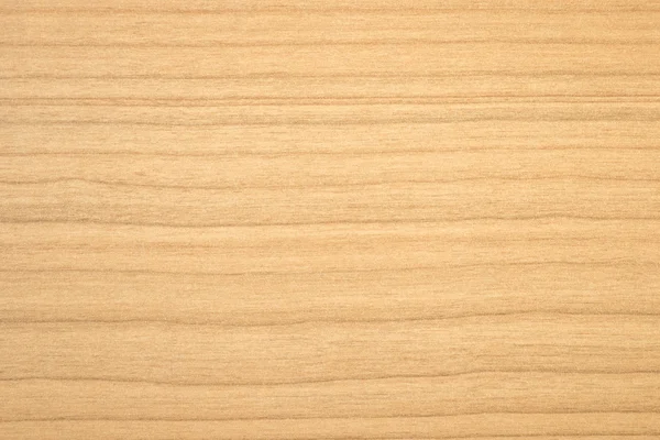 Wooden texture — Stock Photo, Image