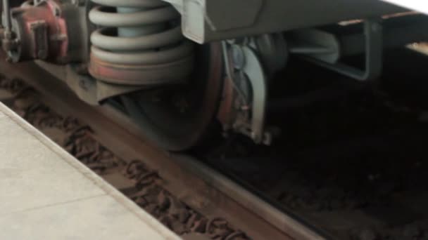 Treno sulle rotaie — Video Stock