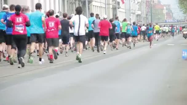 Gente corriendo en medio evento de Maratón — Vídeos de Stock