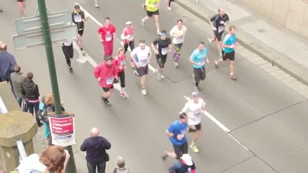 Gente corriendo en medio evento de Maratón — Vídeos de Stock