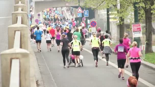 人在半程马拉松赛事件运行 — 图库视频影像