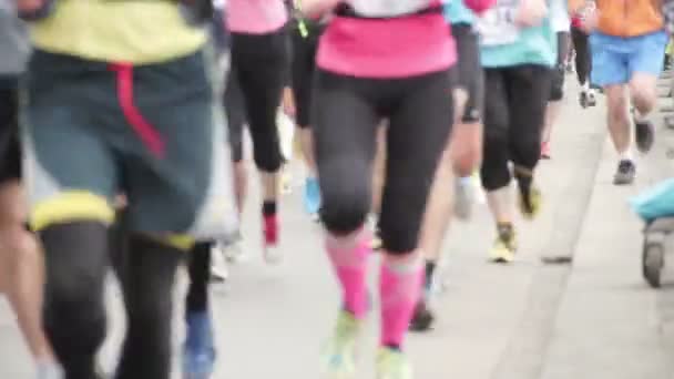 Gente corriendo en medio evento de Maratón — Vídeo de stock