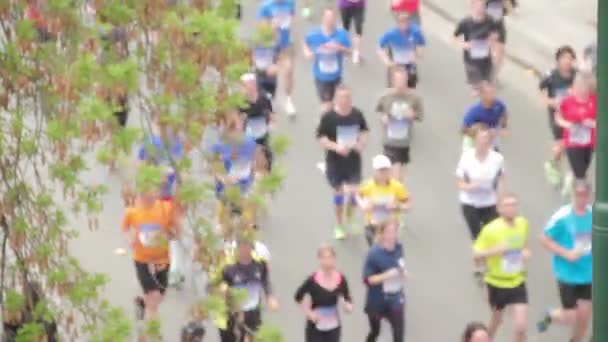 Gente corriendo en medio evento de Maratón — Vídeos de Stock