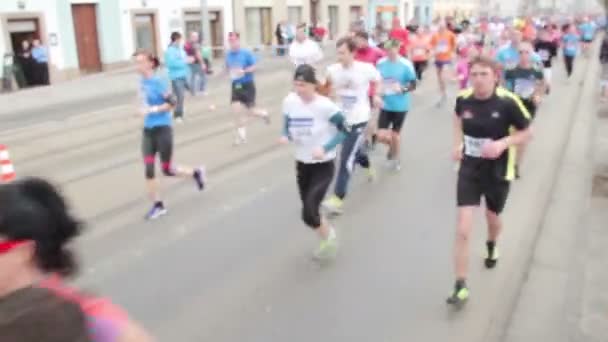 Gente che corre a mezza maratona — Video Stock