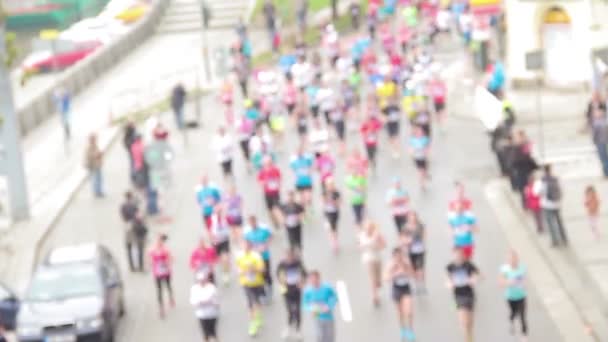 Mensen lopen op halve marathon-evenement — Stockvideo