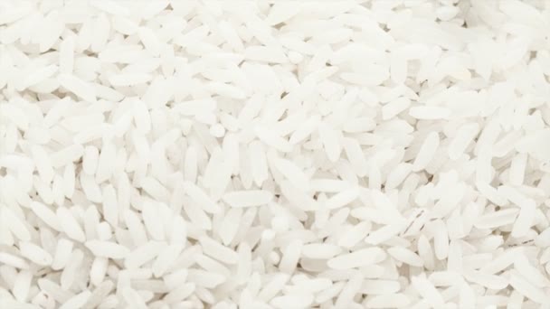 Raw rice — Stock Video