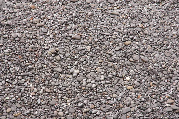 滑らかな小石 — ストック写真