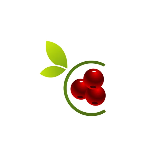 Organic Cherry Logo — Stock Vector