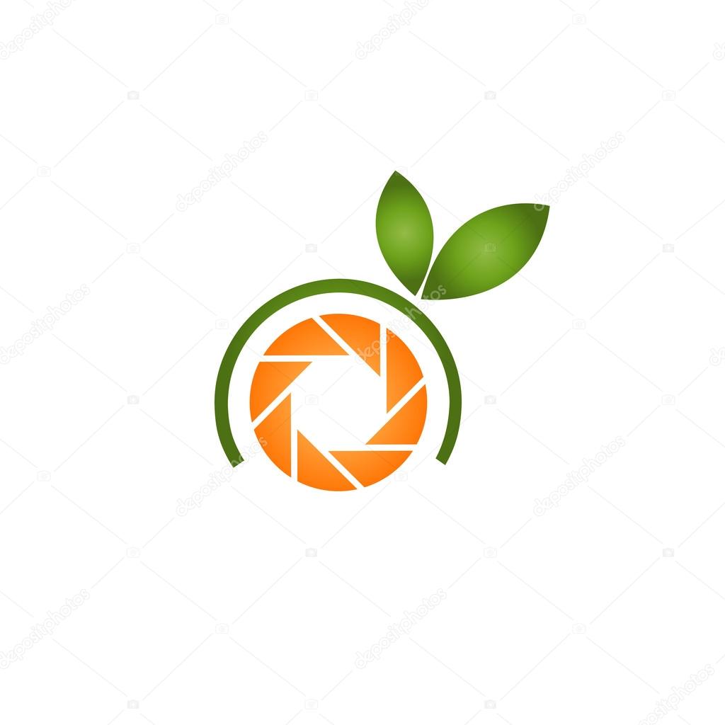 Orange Photography Logo Stock Vector C Shawlin