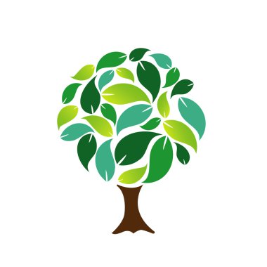 Yeşil yapraklı ağaç