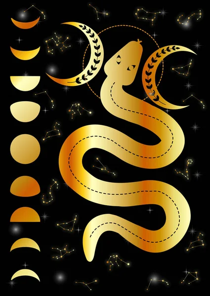 Serpiente Mágica Con Fases Lunares Estrellas Constelaciones Oro — Archivo Imágenes Vectoriales