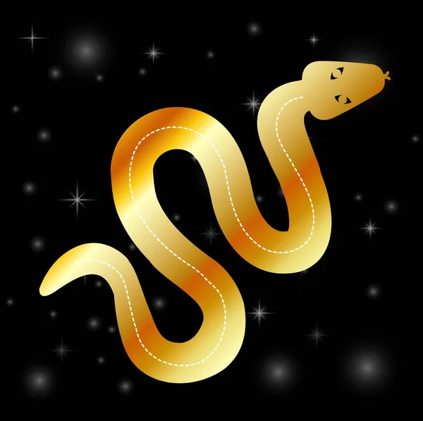 Magische Goldene Serpentine Mit Sternen Auf Schwarz — Stockvektor