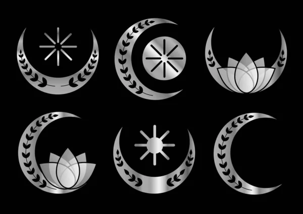 Decorative Crescent Moons Silver Collection Set — Stock Vector