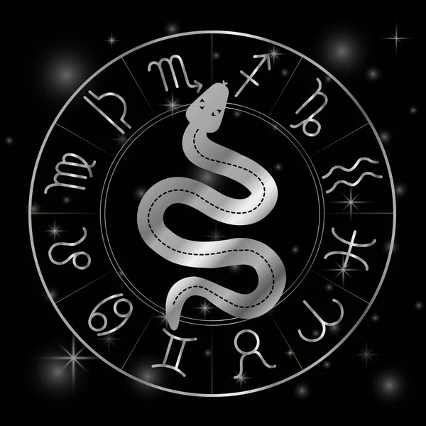 Zvěrokruhové Symboly Astrologické Znaky Mystickou Hadovitou Stříbře — Stockový vektor